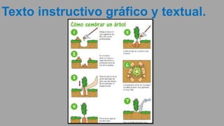 Texto instructivo gráfico y textual.
 