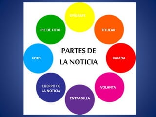 EPÍGRAFE
TITULAR
BAJADA
VOLANTA
ENTRADILLA
CUERPO DE
LA NOTICIA
FOTO
PIE DE FOTO
PARTES DE
LA NOTICIA
 