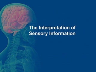 The Interpretation of
Sensory Information
 