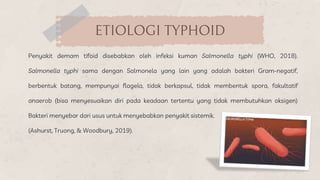 Penyakit demam tifoid disebabkan oleh infeksi kuman Salmonella typhi (WHO, 2018).
Salmonella typhi sama dengan Salmonela y...