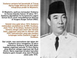 Soekarno pertama kali bersekolah di Tulung
Agung hingga akhirnya dia ikut kedua
orangtuanya pindah ke Mojokerto.
Di Mojokerto, ayahnya memasukan Soekarno
ke Eerste Inlandse School. Di tahun 1911,
Soekarno dipindahkan ke Europeesche Lagere
School (ELS) untuk memudahkannya diterima
di Hoogere Burger School (HBS).
Setelah lulus pada tahun 1915, Soekarno
melanjutkan pendidikannya di HBS, Surabaya,
Jawa Timur. Di Surabaya, Soekarno banyak
bertemu dengan para tokoh dari Sarekat
Islam, organisasi yang kala itu dipimpin oleh
HOS Tjokroaminoto yang juga memberi
tumpangan ketika Soekarno tinggal di
Surabaya.
Dari sinilah, rasa nasionalisme dari dalam diri
Soekarno terus menggelora. Di tahun
berikutnya, Soekarno mulai aktif dalam
kegiatan organisasi pemuda Tri Koro Darmo
yang dibentuk sebagai organisasi dari Budi
Utomo. Nama organisasi tersebut kemudian
Soekarno ganti menjadi Jong Java (Pemuda
Jawa) pada 1918.
 
