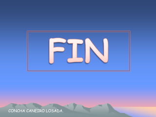 CONCHA CANEIRO LOSADA. 
