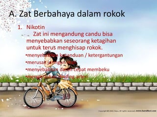 A. Zat Berbahaya dalam rokok
1. Nikotin
Zat ini mengandung candu bisa
menyebabkan seseorang ketagihan
untuk terus menghisap rokok.
•menyebabkan kecanduan / ketergantungan
•merusak jaringan otak
•menyebabkan darah cepat membeku
•mengeraskan dinding arteri

 