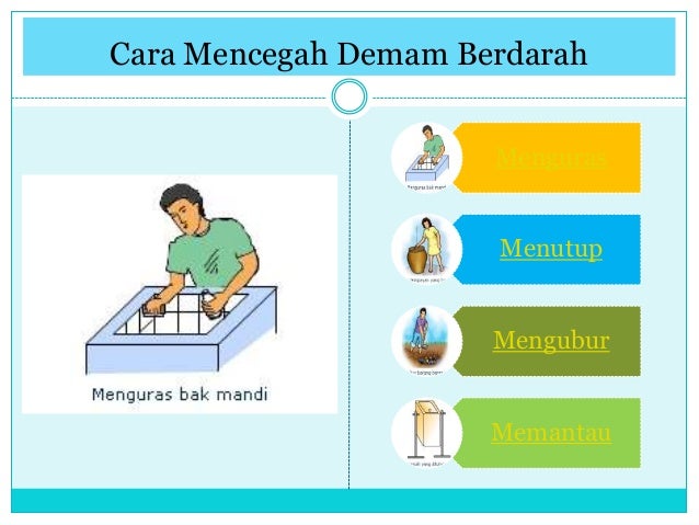 Cara Mencegah Demam Berdarah