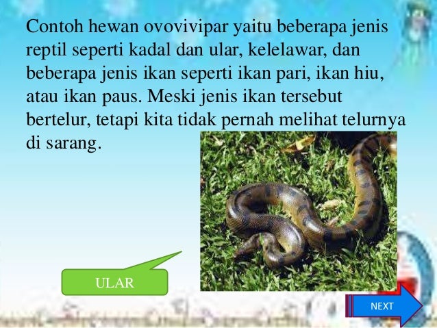 Ppt tik pupus Ppt tik pupus