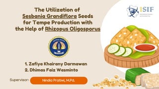 The Utilization of
Sesbania Grandiflora Seeds
for Tempe Production with
the Help of Rhizopus Oligosporus
1. Zafiya Khairany Darmawan
2. Dhimas Faiz Wasminto
Nindia Pratiwi, M.Pd.
Supervisor:
 