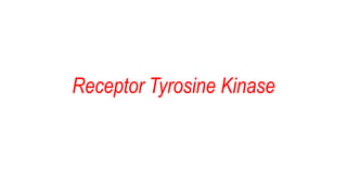Receptor Tyrosine Kinase
 