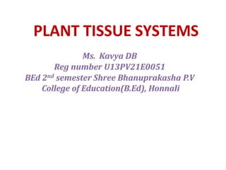 PLANT TISSUE SYSTEMS
Ms. Kavya DB
Reg number U13PV21E0051
BEd 2nd semester Shree Bhanuprakasha P.V
College of Education(B.Ed), Honnali
 