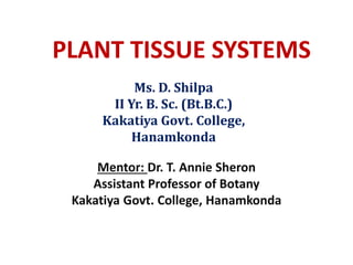PLANT TISSUE SYSTEMS
Mentor: Dr. T. Annie Sheron
Assistant Professor of Botany
Kakatiya Govt. College, Hanamkonda
Ms. D. Shilpa
II Yr. B. Sc. (Bt.B.C.)
Kakatiya Govt. College,
Hanamkonda
 
