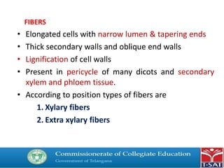FIBERS
• Elongated cells with narrow lumen & tapering ends
• Thick secondary walls and oblique end walls
• Lignification of cell walls
• Present in pericycle of many dicots and secondary
xylem and phloem tissue.
• According to position types of fibers are
1. Xylary fibers
2. Extra xylary fibers
 
