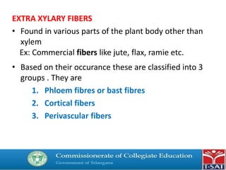 EXTRA XYLARY FIBERS
• Found in various parts of the plant body other than
xylem
• Based on their occurance these are classified into 3
groups . They are
1. Phloem fibres or bast fibres
2. Cortical fibers
3. Perivascular fibers
Ex: Commercial fibers like jute, flax, ramie etc.
 
