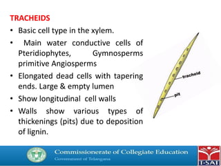 TRACHEIDS
• Basic cell type in the xylem.
• Main water conductive cells of
Pteridiophytes, Gymnosperms
primitive Angiosperms
• Elongated dead cells with tapering
ends. Large & empty lumen
• Show longitudinal cell walls
• Walls show various types of
thickenings (pits) due to deposition
of lignin.
 