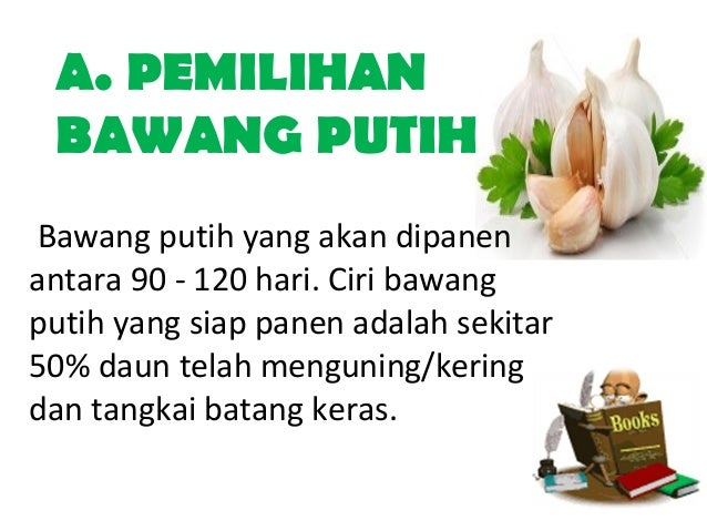 Ppt Tanaman Obat Keluarga TOGA 