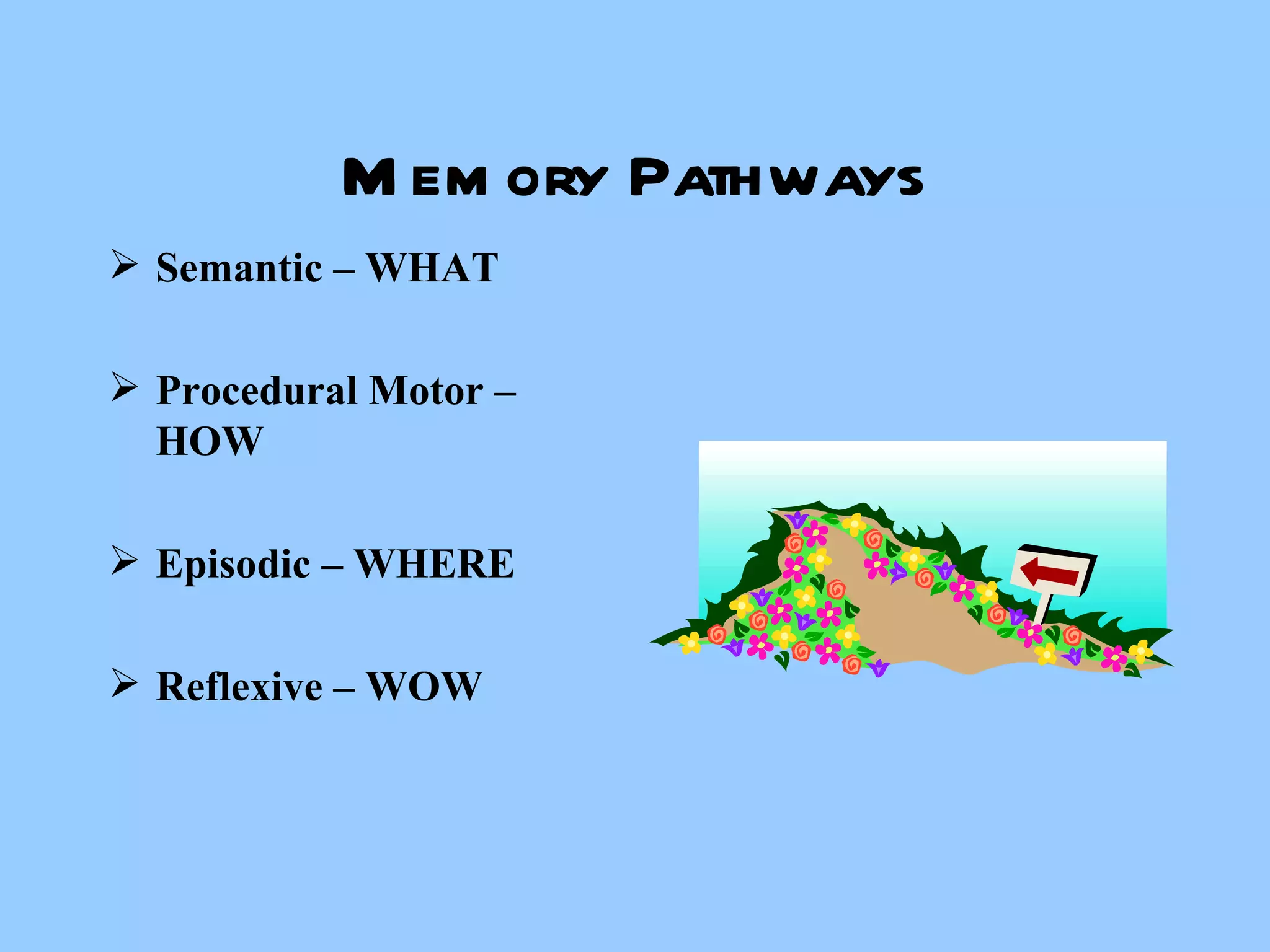 Memory Pathways Semantic – WHAT  Procedural Motor –HOW Episodic – WHERE Reflexive – WOW 
