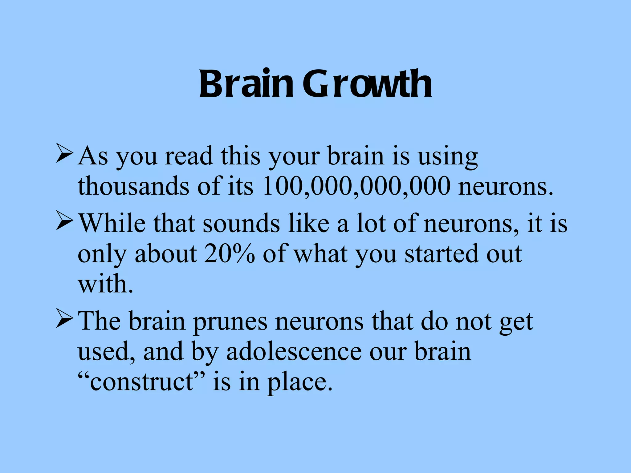 Brain Growth As you read this your brain is using thousands of its 100,000,000,000 neurons. While that sounds like a lot of neurons, it is only about 20% of what you started out with. The brain prunes neurons that do not get used, and by adolescence our brain “construct” is in place. 