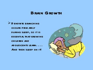 Brain Growth Dendrite branching occurs primarily during sleep, so it is essential that growing children and adolescents learn. . . .  And then sleep on it! 