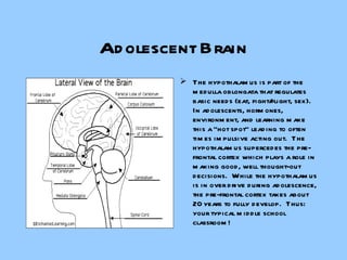 Adolescent Brain The hypothalamus is part of the medulla oblongata that regulates basic needs (eat, fight/flight, sex).  In adolescents, hormones, environment, and learning make this a “hot spot” leading to often times impulsive acting out.  The hypothalamus supercedes the pre-frontal cortex which plays a role in making good, well thought-out decisions.  While the hypothalamus is in over drive during adolescence, the pre-frontal cortex takes about 20 years to fully develop.  Thus: your typical middle school classroom! 