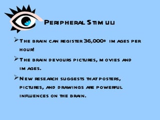 Peripheral Stimuli The brain can register 36,000+ images per hour! The brain devours pictures, movies and images. New research suggests that posters, pictures, and drawings are powerful influences on the brain. 
