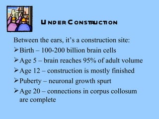 Under Construction Between the ears, it’s a construction site: Birth – 100-200 billion brain cells Age 5 – brain reaches 95% of adult volume Age 12 – construction is mostly finished Puberty – neuronal growth spurt Age 20 – connections in corpus collosum are complete 
