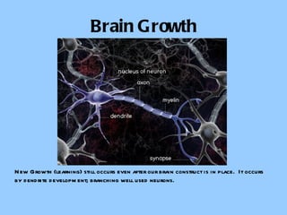 Brain Growth New Growth (learning) still occurs even after our brain construct is in place.  It occurs by dendrite development; branching well used neurons. 