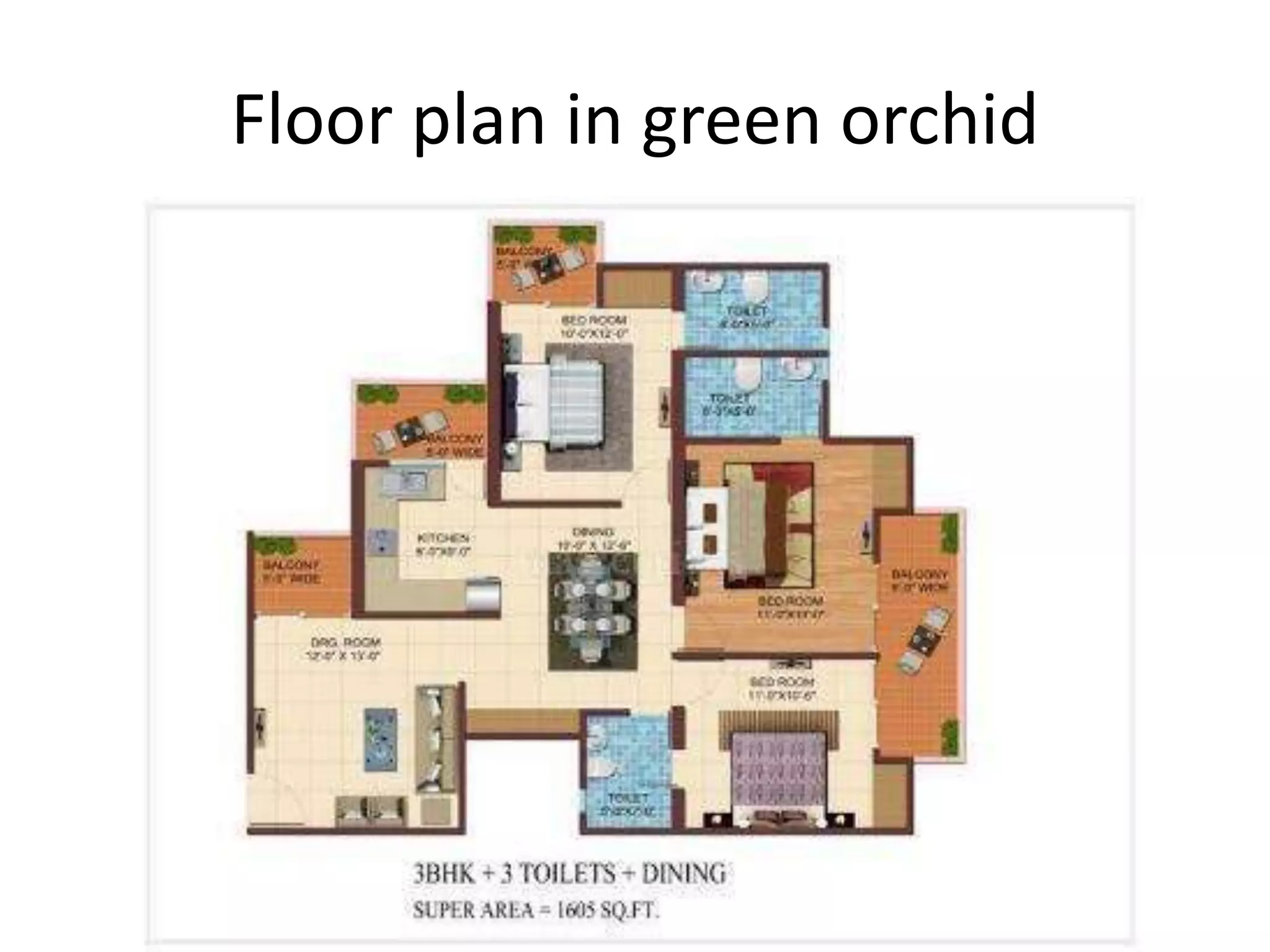 Floor plan in green orchid
 