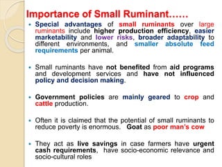 Importance of Small Ruminant……
 Special advantages of small ruminants over large
ruminants include higher production efficiency, easier
marketability and lower risks, broader adaptability to
different environments, and smaller absolute feed
requirements per animal.
 Small ruminants have not benefited from aid programs
and development services and have not influenced
policy and decision making.
 Government policies are mainly geared to crop and
cattle production.
 Often it is claimed that the potential of small ruminants to
reduce poverty is enormous. Goat as poor man’s cow
 They act as live savings in case farmers have urgent
cash requirements, have socio-economic relevance and
socio-cultural roles
 