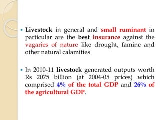  Livestock in general and small ruminant in
particular are the best insurance against the
vagaries of nature like drought, famine and
other natural calamities
 In 2010-11 livestock generated outputs worth
Rs 2075 billion (at 2004-05 prices) which
comprised 4% of the total GDP and 26% of
the agricultural GDP.
 