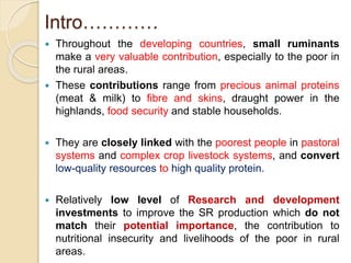 Intro…………
 Throughout the developing countries, small ruminants
make a very valuable contribution, especially to the poor in
the rural areas.
 These contributions range from precious animal proteins
(meat & milk) to fibre and skins, draught power in the
highlands, food security and stable households.
 They are closely linked with the poorest people in pastoral
systems and complex crop livestock systems, and convert
low-quality resources to high quality protein.
 Relatively low level of Research and development
investments to improve the SR production which do not
match their potential importance, the contribution to
nutritional insecurity and livelihoods of the poor in rural
areas.
 