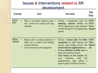 Issues & Interventions related to SR
development
 