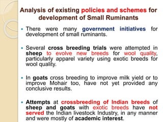 Analysis of existing policies and schemes for
development of Small Ruminants
 There were many government initiatives for
development of small ruminants.
 Several cross breeding trials were attempted in
sheep to evolve new breeds for wool quality,
particularly apparel variety using exotic breeds for
wool quality.
 In goats cross breeding to improve milk yield or to
improve Mohair too, have not yet provided any
conclusive results.
 Attempts at crossbreeding of Indian breeds of
sheep and goats with exotic breeds have not
served the Indian livestock Industry, in any manner
and were mostly of academic interest.
 