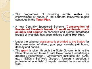  The programme of providing exotic males for
improvement of sheep in the northern temperate region
continued in the Tenth Plan.
 A new Centrally Sponsored Scheme "Conservation of
threatened livestock breeds of small ruminants, pack
animals and equine" to conserve and protect threatened
breeds of livestock, has been initiated during 10th Plan.
 Under the scheme, assistance is provided to the States for
the conservation of sheep, goat, pigs, camels, yak, horse,
donkey and ponies.
 The grant is given through the State Governments to the
State Government farms / State Government Undertakings
/Boards / Federations / Government Institutes like ICAR,
etc. / NGOs / Self-Help Groups / farmers / breeders /
professional scientists of repute involved in conservation
work.
 