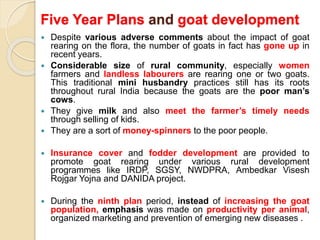 Five Year Plans and goat development
 Despite various adverse comments about the impact of goat
rearing on the flora, the number of goats in fact has gone up in
recent years.
 Considerable size of rural community, especially women
farmers and landless labourers are rearing one or two goats.
This traditional mini husbandry practices still has its roots
throughout rural India because the goats are the poor man’s
cows.
 They give milk and also meet the farmer’s timely needs
through selling of kids.
 They are a sort of money-spinners to the poor people.
 Insurance cover and fodder development are provided to
promote goat rearing under various rural development
programmes like IRDP, SGSY, NWDPRA, Ambedkar Visesh
Rojgar Yojna and DANIDA project.
 During the ninth plan period, instead of increasing the goat
population, emphasis was made on productivity per animal,
organized marketing and prevention of emerging new diseases .
 