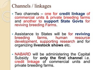 Channels / linkages
 Two channels – one for credit linkage of
commercial units & private breeding farms
and another to support State Govts for
reviving breeding Farms.
 Assistance to States will be for reviving
breeding farms, human resource
development, supporting research and for
organizing livestock shows etc.
 NABARD will be administering the Capital
Subsidy for only the first channel i.e.
credit linkage of commercial units and
private breeding farms.
 
