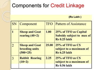 Components for Credit Linkage
(Rs Lakh )
SN Component TFO Pattern of Assistance
1 Sheep and Goat
rearing (40+2)
1.00 25% of TFO as Capital
Subsidy subject to max of
Rs 0.25 lakh
2 Sheep and Goat
breeding units
(500+25)
25.00 25% of TFO as CS
subject to a maximum of
Rs 6.25 lakh
3 Rabbit Rearing
(10+2)
2.25 25% of TFO as CS
subject to a maximum of
Rs 0.56 lakh
 