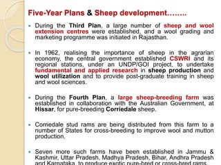Five-Year Plans & Sheep development……..
 During the Third Plan, a large number of sheep and wool
extension centres were established, and a wool grading and
marketing programme was initiated in Rajasthan.
 In 1962, realising the importance of sheep in the agrarian
economy, the central government established CSWRI and its
regional stations, under an UNDP/GOI project, to undertake
fundamental and applied research in sheep production and
wool utilization and to provide post-graduate training in sheep
and wool sciences.
 During the Fourth Plan, a large sheep-breeding farm was
established in collaboration with the Australian Government, at
Hissar, for pure-breeding Corriedale sheep.
 Corriedale stud rams are being distributed from this farm to a
number of States for cross-breeding to improve wool and mutton
production.
 Seven more such farms have been established in Jammu &
Kashmir, Uttar Pradesh, Madhya Pradesh, Bihar, Andhra Pradesh
 