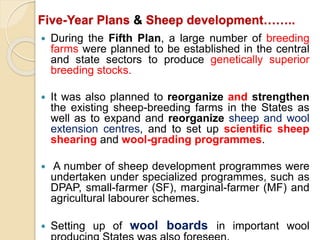 Five-Year Plans & Sheep development……..
 During the Fifth Plan, a large number of breeding
farms were planned to be established in the central
and state sectors to produce genetically superior
breeding stocks.
 It was also planned to reorganize and strengthen
the existing sheep-breeding farms in the States as
well as to expand and reorganize sheep and wool
extension centres, and to set up scientific sheep
shearing and wool-grading programmes.
 A number of sheep development programmes were
undertaken under specialized programmes, such as
DPAP, small-farmer (SF), marginal-farmer (MF) and
agricultural labourer schemes.
 Setting up of wool boards in important wool
 