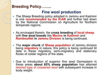 Breeding Policy……..
Fine wool production
 The Sheep Breeding policy adopted in Jammu and Kashmir
is one recommended by the ICAR and further laid down
by the National Commission on Agriculture for Northern
temperate regions.
 As envisaged therein, the cross breeding of local sheep
with fine wool breeds like Merino in Kashmir and
Rambouillet in Jammu Division is being continued.
 The major chunk of Sheep population of Jammu division
being migratory in nature, this policy is being continued till
date in these migratory, semi-migratory and stationary
flocks of colder regions of the state.
 Due to introduction of superior fine wool Germplasm in
these areas about 65% sheep population has attained
desired type of crossbred wool with subsequent increase in
body weight.
 
