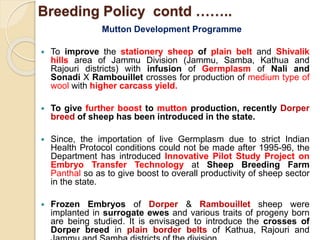 Breeding Policy contd ……..
Mutton Development Programme
 To improve the stationery sheep of plain belt and Shivalik
hills area of Jammu Division (Jammu, Samba, Kathua and
Rajouri districts) with infusion of Germplasm of Nali and
Sonadi X Rambouillet crosses for production of medium type of
wool with higher carcass yield.
 To give further boost to mutton production, recently Dorper
breed of sheep has been introduced in the state.
 Since, the importation of live Germplasm due to strict Indian
Health Protocol conditions could not be made after 1995-96, the
Department has introduced Innovative Pilot Study Project on
Embryo Transfer Technology at Sheep Breeding Farm
Panthal so as to give boost to overall productivity of sheep sector
in the state.
 Frozen Embryos of Dorper & Rambouillet sheep were
implanted in surrogate ewes and various traits of progeny born
are being studied. It is envisaged to introduce the crosses of
Dorper breed in plain border belts of Kathua, Rajouri and
 