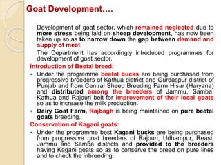 Goat Development….
Development of goat sector, which remained neglected due to
more stress being laid on sheep development, has now been
taken up so as to narrow down the gap between demand and
supply of meat.
The Department has accordingly introduced programmes for
development of goat sector.
Introduction of Beetal breed:
 Under the programme beetal bucks are being purchased from
progressive breeders of Kathua district and Gurdaspur district of
Punjab and from Central Sheep Breeding Farm Hisar (Haryana)
and distributed among the breeders of Jammu, Samba,
Kathua and Rajouri belt for improvement of their local goats
so as to increase the milk production.
 Dairy Goat Farm, Rajbagh is being maintained on pure beetal
goats breeding.
Conservation of Kagani goats:
 Under the programme best Kagani bucks are being purchased
from progressive goat breeders of Rajouri, Udhampur, Reasi,
Jammu and Samba districts and provided to the breeders
having Kagani goats so as to conserve the breed on pure lines
and to check the inbreeding.
 