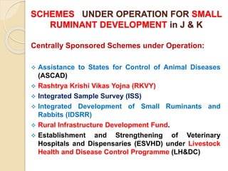 SCHEMES UNDER OPERATION FOR SMALL
RUMINANT DEVELOPMENT in J & K
Centrally Sponsored Schemes under Operation:
 Assistance to States for Control of Animal Diseases
(ASCAD)
 Rashtrya Krishi Vikas Yojna (RKVY)
 Integrated Sample Survey (ISS)
 Integrated Development of Small Ruminants and
Rabbits (IDSRR)
 Rural Infrastructure Development Fund.
 Establishment and Strengthening of Veterinary
Hospitals and Dispensaries (ESVHD) under Livestock
Health and Disease Control Programme (LH&DC)
 
