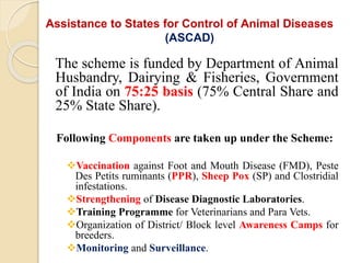 Assistance to States for Control of Animal Diseases
(ASCAD)
The scheme is funded by Department of Animal
Husbandry, Dairying & Fisheries, Government
of India on 75:25 basis (75% Central Share and
25% State Share).
Following Components are taken up under the Scheme:
Vaccination against Foot and Mouth Disease (FMD), Peste
Des Petits ruminants (PPR), Sheep Pox (SP) and Clostridial
infestations.
Strengthening of Disease Diagnostic Laboratories.
Training Programme for Veterinarians and Para Vets.
Organization of District/ Block level Awareness Camps for
breeders.
Monitoring and Surveillance.
 