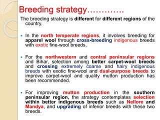 Breeding strategy………….
The breeding strategy is different for different regions of the
country.
 In the north temperate regions, it involves breeding for
apparel wool through cross-breeding indigenous breeds
with exotic fine-wool breeds.
 For the northwestern and central peninsular regions
and Bihar, selection among better carpet-wool breeds
and crossing extremely coarse and hairy indigenous
breeds with exotic fine-wool and dual-purpose breeds to
improve carpet-wool and quality mutton production has
been recommended.
 For improving mutton production in the southern
peninsular region, the strategy contemplates selection
within better indigenous breeds such as Nellore and
Mandya, and upgrading of inferior breeds with these two
breeds.
 