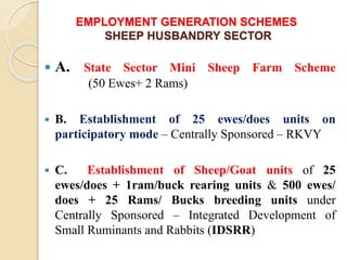 EMPLOYMENT GENERATION SCHEMES
SHEEP HUSBANDRY SECTOR
 A. State Sector Mini Sheep Farm Scheme
(50 Ewes+ 2 Rams)
 B. Establishment of 25 ewes/does units on
participatory mode – Centrally Sponsored – RKVY
 C. Establishment of Sheep/Goat units of 25
ewes/does + 1ram/buck rearing units & 500 ewes/
does + 25 Rams/ Bucks breeding units under
Centrally Sponsored – Integrated Development of
Small Ruminants and Rabbits (IDSRR)
 