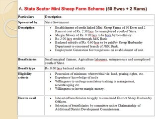 A. State Sector Mini Sheep Farm Scheme (50 Ewes + 2 Rams)
 