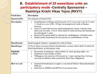 B. Establishment of 25 ewes/does units on
participatory mode -Centrally Sponsored –
Rashtriya Krishi Vikas Yojna (RKVY)
 