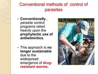 Conventional methods of control of
parasites
 Conventionally ,
parasite control
programs relied
heavily upon the
prophylactic use of
anthelmintics.
 This approach is no
longer sustainable
due to the
widespread
emergence of drug-
resistant worms.
 