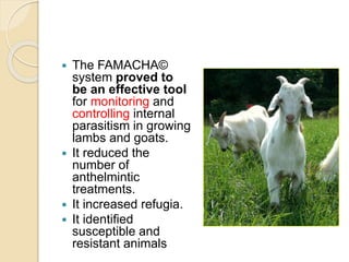  The FAMACHA©
system proved to
be an effective tool
for monitoring and
controlling internal
parasitism in growing
lambs and goats.
 It reduced the
number of
anthelmintic
treatments.
 It increased refugia.
 It identified
susceptible and
resistant animals
 