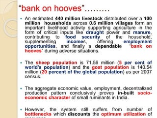 “bank on hooves”………
 An estimated 440 million livestock distributed over a 100
million households across 0.6 million villages form an
important livelihood activity supporting agriculture in the
form of critical inputs like draught power and manure,
contributing to food security of the household,
supplementing incomes, offering employment
opportunities, and finally a dependable “bank on
hooves” during adverse situations.
 The sheep population is 71.56 million (5 per cent of
world’s population) and the goat population is 140.54
million (20 percent of the global population) as per 2007
census.
 The aggregate economic value, employment, decentralized
production pattern conclusively proves in-built socio-
economic character of small ruminants in India.
 However, the system still suffers from number of
bottlenecks which discounts the optimum utilization of
 