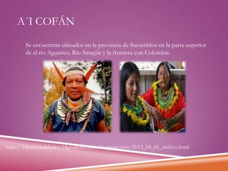 A´I COFÁN
 Se encuentran ubicados en la provincia de Sucumbíos en la parte superior

de el rio Aguarico, Rio Sinagüe y la frontera con Colombia.

http://14nacionalidadesy18gruposetnicos.blogspot.com/2013_04_01_archive.html

 