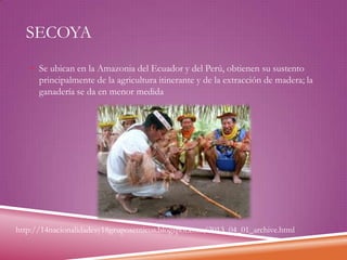 SECOYA
 Se ubican en la Amazonia del Ecuador y del Perú, obtienen su sustento

principalmente de la agricultura itinerante y de la extracción de madera; la
ganadería se da en menor medida

http://14nacionalidadesy18gruposetnicos.blogspot.com/2013_04_01_archive.html

 